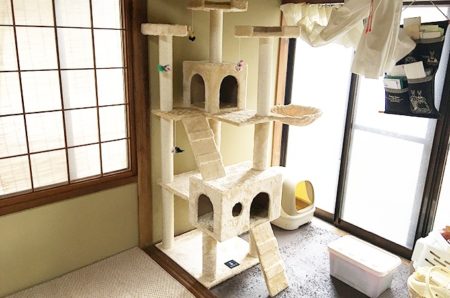 猫が2匹になったのでキャットタワー「ottostyle.jp ネコちゃんキャットツリー［CROWN170］」を購入！