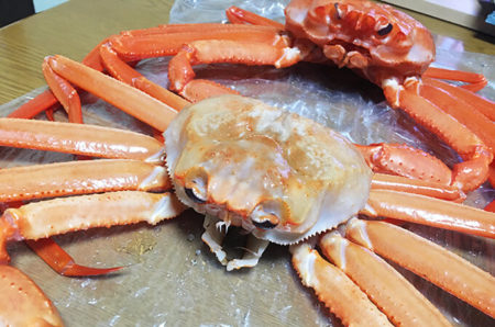 射水市【カモン新湊ショッピングセンター】新鮮な新湊産 紅ズワイガニを購入！蒸し蟹を食す♪