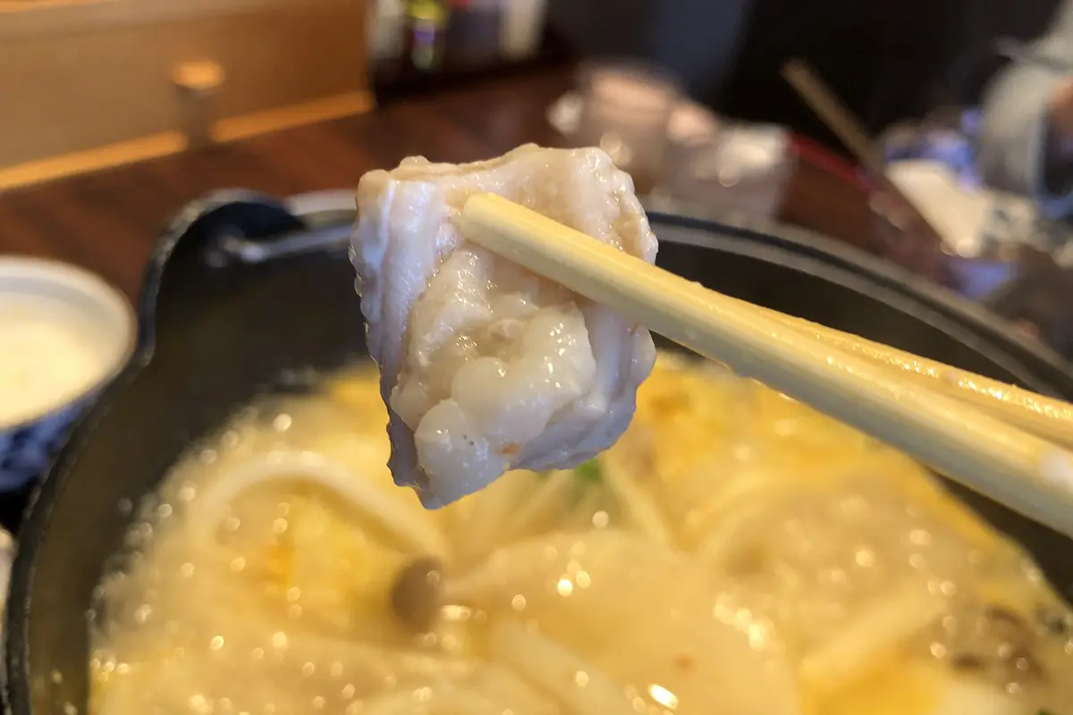 めん房本陣 砺波店　濃厚白湯鍋うどん　鶏肉