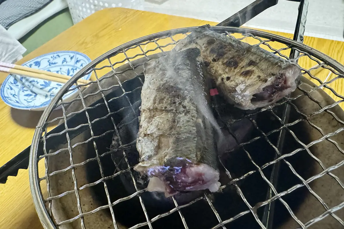 画像 LOGOS×萬古焼 卓上水コンロ さんまを焼く