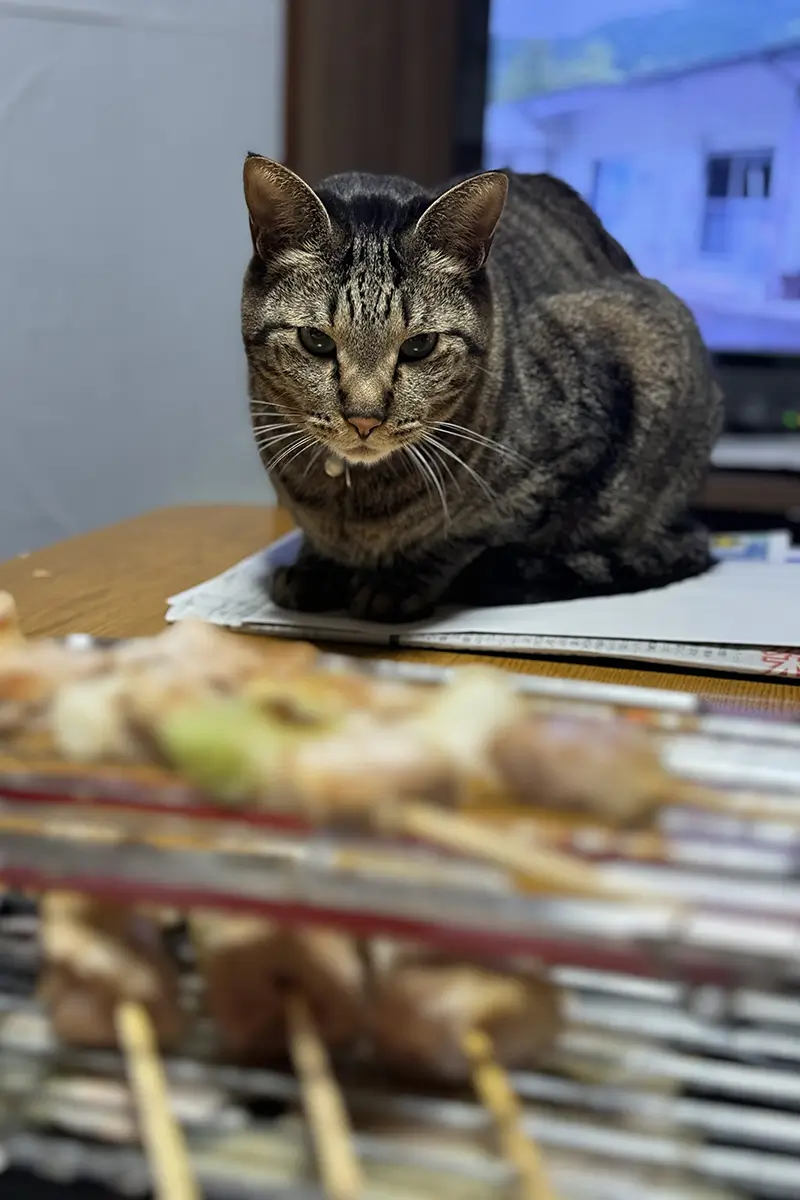 画像 焼き鳥焼き器 焼き鳥を焼くと愛猫が狙ってくる