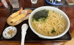 ひのや 海老天ぷらうどん大盛り
