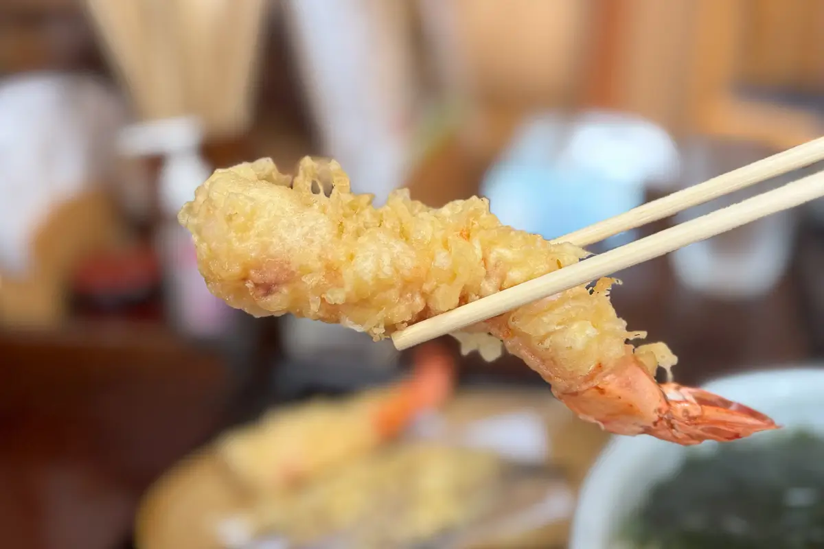 画像 ひのや 海老天ぷらうどん大盛り 海老天