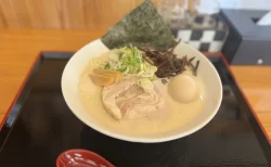 麺屋 和BISABI 豚鶏ラーメンみそ 大盛り 煮卵トッピング