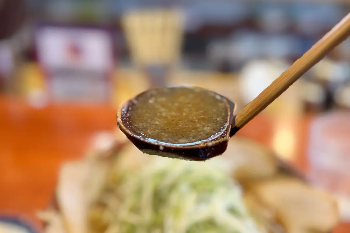 らーめん むてっぽう 富山本店　魚介醤油チャーシューメン大盛り　スープ