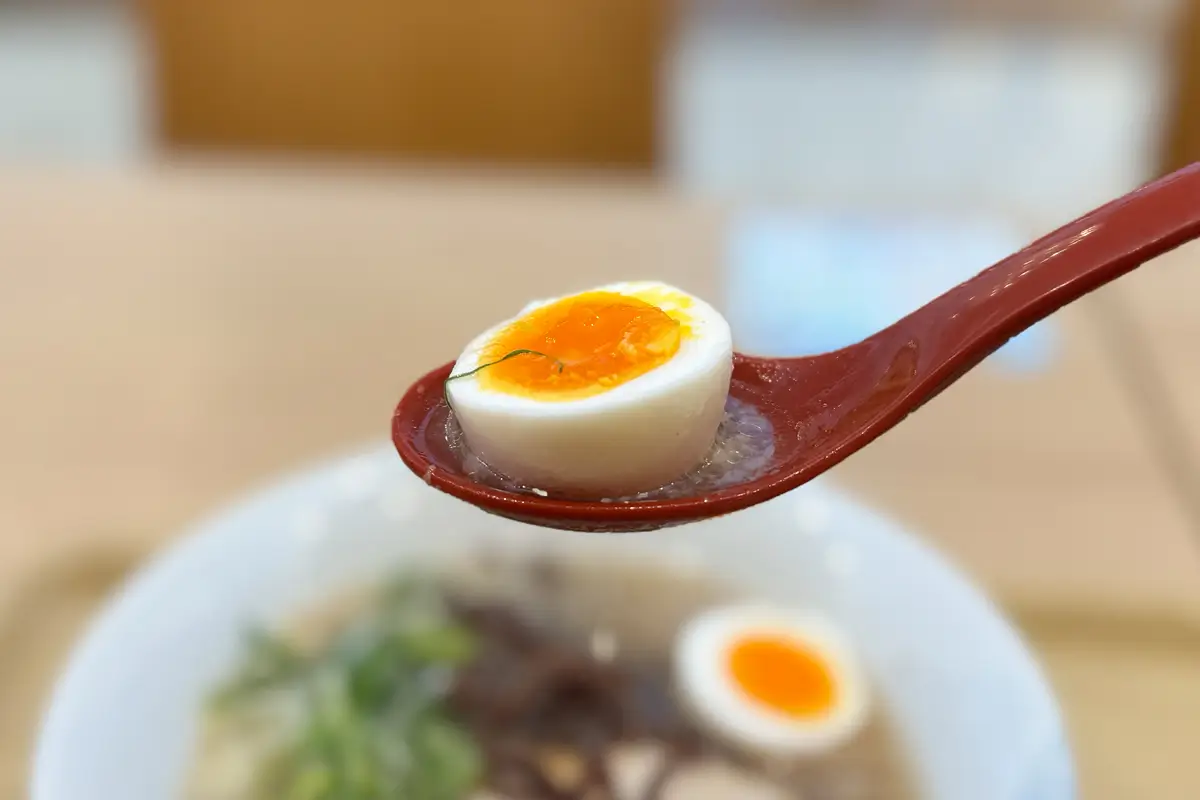 博多だるま　博多豚骨ラーメン味玉入　味玉