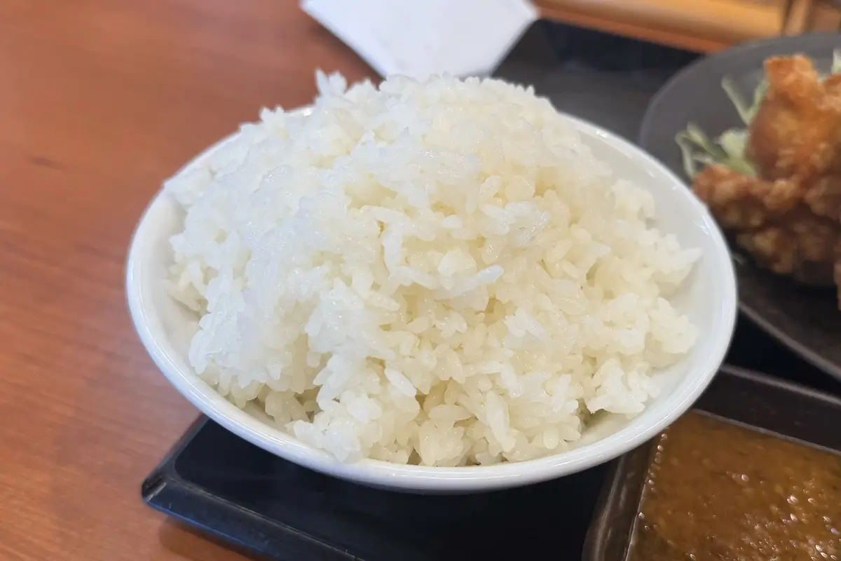 からやま 富山飯野店　からやま定食　白飯