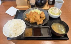 からやま 富山飯野店　からやま定食（5個）+ポテトサラダ