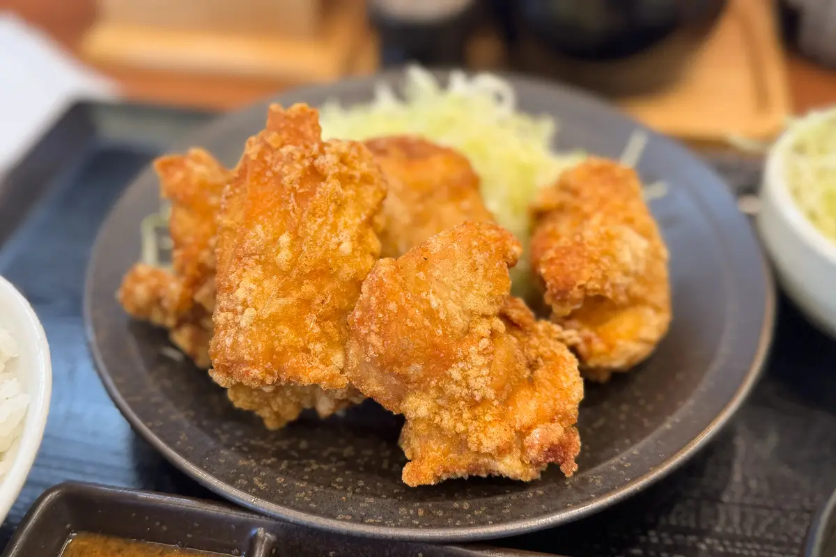 からやま 富山飯野店　からやま定食（5個）　カリッともも