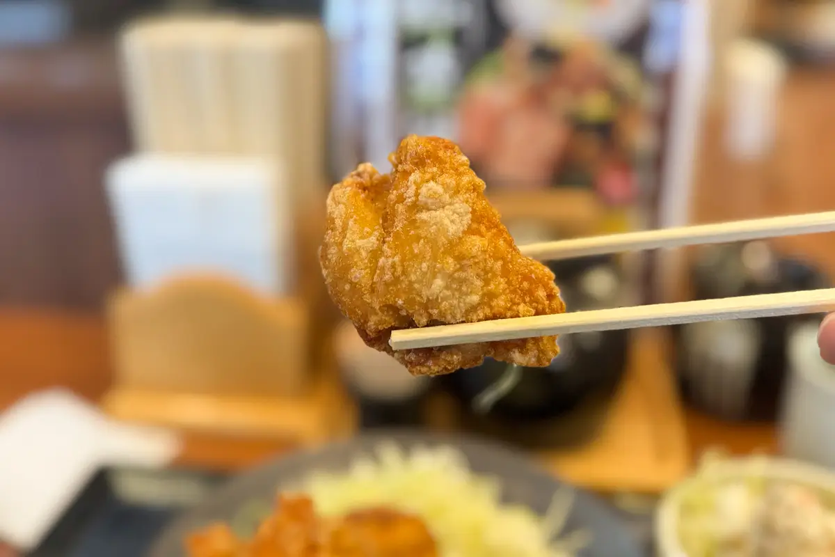 からやま 富山飯野店　からやま定食（5個）　カリッともも
