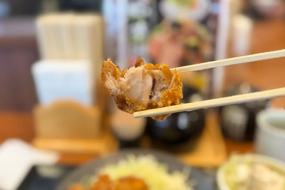 からやま 富山飯野店　からやま定食（5個）　カリッともも