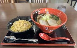 麺屋 龍　とんこつラーメン半チャーハンセット+味玉