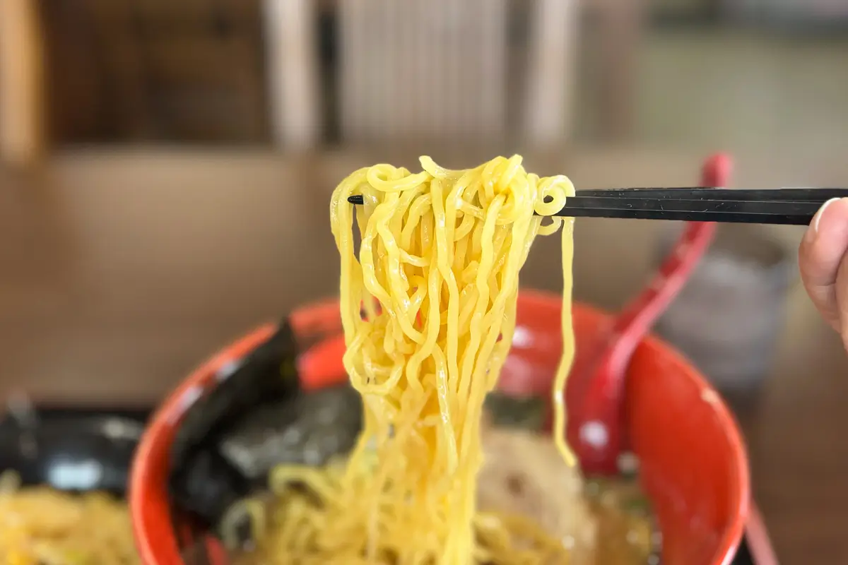 麺屋 龍　とんこつラーメン　麺